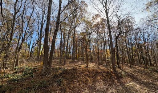 Photo #10 of 9 Dulwich Drive, Amherst, VA 19.8 acres