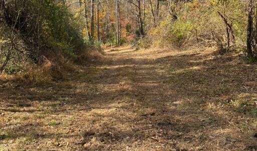Photo #8 of 9 Dulwich Drive, Amherst, VA 19.8 acres