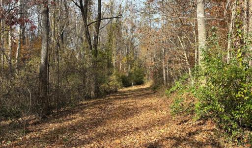 Photo #26 of 9 Dulwich Drive, Amherst, VA 19.8 acres