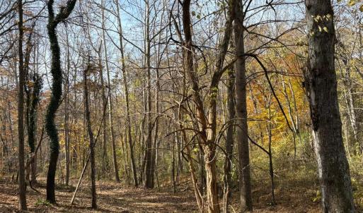 Photo #16 of 9 Dulwich Drive, Amherst, VA 19.8 acres