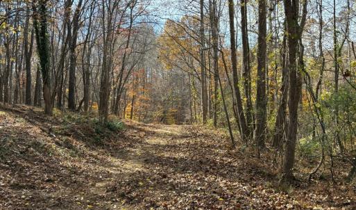 Photo #17 of 9 Dulwich Drive, Amherst, VA 19.8 acres