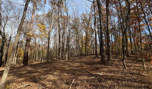 Photo #12 of 9 Dulwich Drive, Amherst, VA 19.8 acres