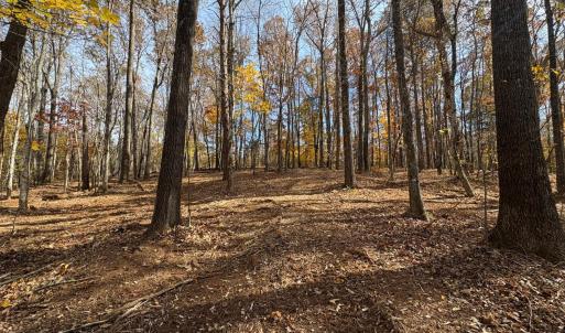 Photo #11 of 9 Dulwich Drive, Amherst, VA 19.8 acres