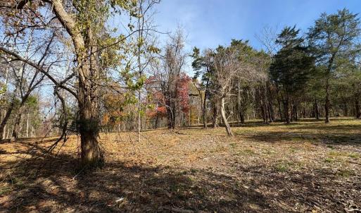 Photo #21 of 9 Dulwich Drive, Amherst, VA 21.7 acres