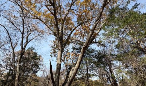 Photo #14 of 9 Dulwich Drive, Amherst, VA 21.7 acres