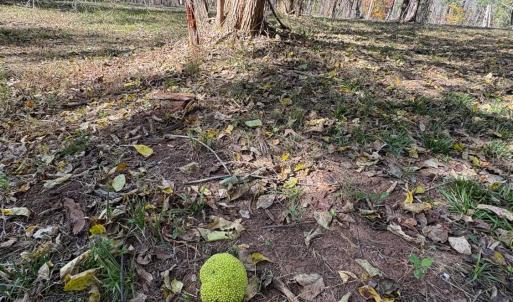 Photo #9 of 9 Dulwich Drive, Amherst, VA 21.7 acres