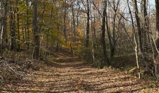 Photo #30 of 9 Dulwich Drive, Amherst, VA 21.7 acres