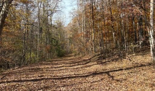 Photo #34 of 9 Dulwich Drive, Amherst, VA 21.7 acres