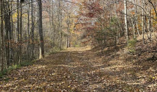 Photo #33 of 9 Dulwich Drive, Amherst, VA 21.7 acres