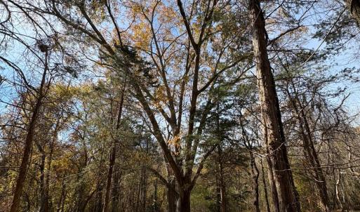 Photo #13 of 9 Dulwich Drive, Amherst, VA 21.7 acres