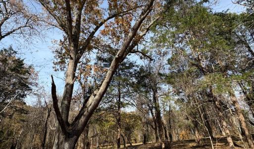 Photo #15 of 9 Dulwich Drive, Amherst, VA 21.7 acres