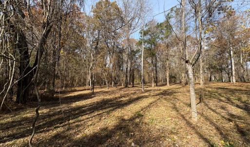 Photo #19 of 9 Dulwich Drive, Amherst, VA 21.7 acres