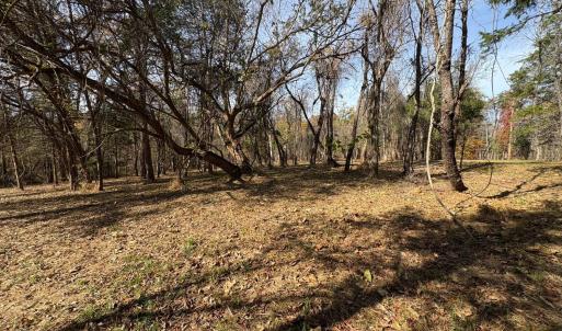 Photo #11 of 9 Dulwich Drive, Amherst, VA 21.7 acres