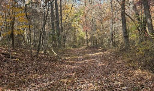 Photo #31 of 9 Dulwich Drive, Amherst, VA 21.7 acres