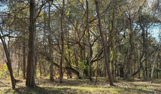 Photo #25 of 9 Dulwich Drive, Amherst, VA 21.7 acres