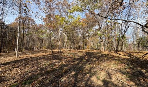 Photo #20 of 9 Dulwich Drive, Amherst, VA 21.7 acres