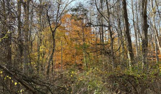 Photo #35 of 9 Dulwich Drive, Amherst, VA 21.7 acres