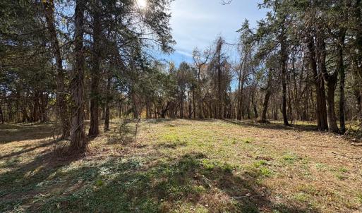 Photo #24 of 9 Dulwich Drive, Amherst, VA 21.7 acres