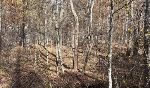Photo #32 of 9 Dulwich Drive, Amherst, VA 21.7 acres