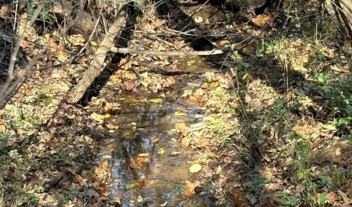 Photo #17 of 99 Richmond Highway, Amherst, VA 15.3 acres