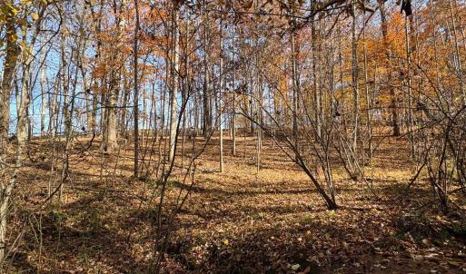 Photo #22 of 99 Richmond Highway, Amherst, VA 15.3 acres