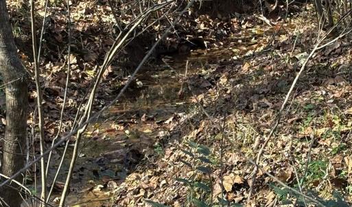 Photo #16 of 99 Richmond Highway, Amherst, VA 15.3 acres