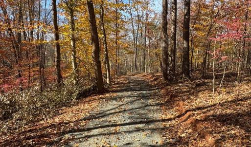 Photo #5 of 99 Richmond Highway, Amherst, VA 15.3 acres