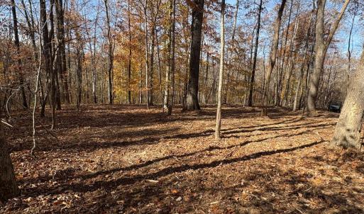 Photo #11 of 99 Richmond Highway, Amherst, VA 15.3 acres