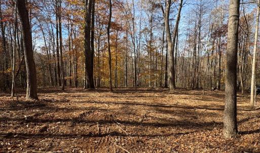 Photo #2 of 99 Richmond Highway, Amherst, VA 15.3 acres