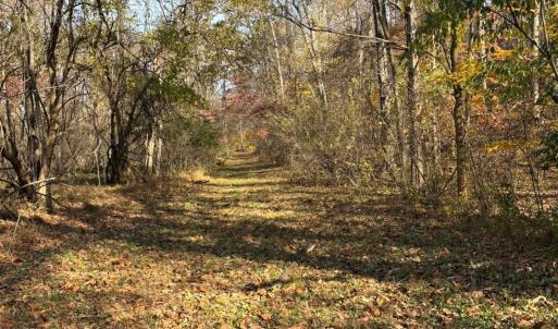 Photo #14 of 99 Richmond Highway, Amherst, VA 15.3 acres