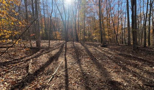 Photo #8 of 99 Richmond Highway, Amherst, VA 15.3 acres