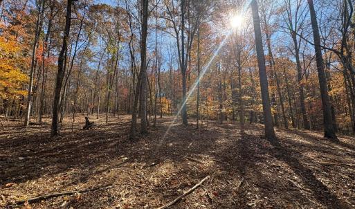 Photo #12 of 99 Richmond Highway, Amherst, VA 15.3 acres