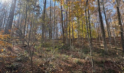 Photo #21 of 99 Richmond Highway, Amherst, VA 15.3 acres