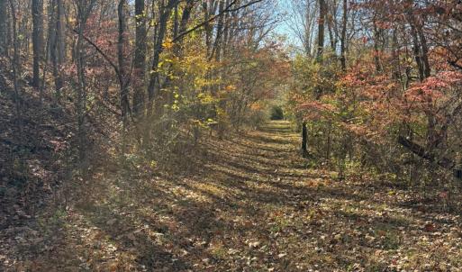 Photo #18 of 99 Richmond Highway, Amherst, VA 15.3 acres