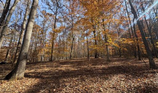 Photo #13 of 99 Richmond Highway, Amherst, VA 15.3 acres