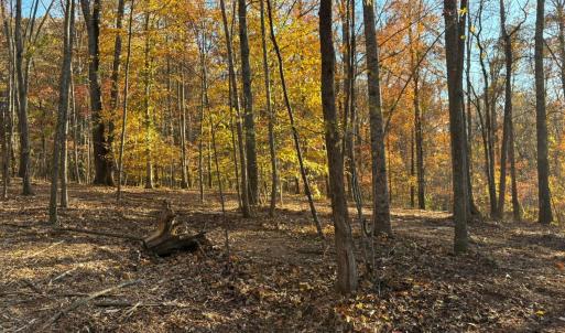 Photo #1 of 99 Richmond Highway, Amherst, VA 15.3 acres