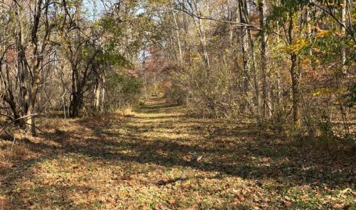 Photo #15 of 99 Richmond Highway, Amherst, VA 15.3 acres