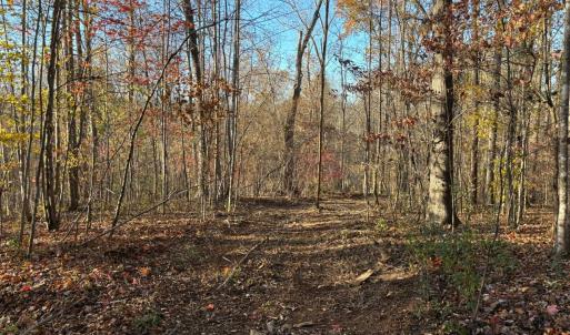 Photo #6 of 99 Richmond Highway, Amherst, VA 15.3 acres
