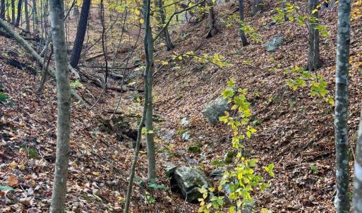 Photo #3 of Buck Hollow Road, Amherst, VA 50.0 acres