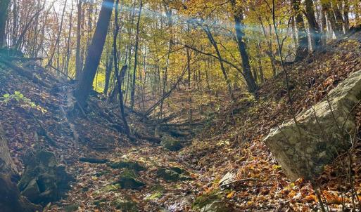 Photo #4 of Buck Hollow Road, Amherst, VA 50.0 acres