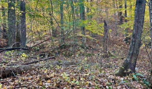 Photo #2 of Buck Hollow Road, Amherst, VA 50.0 acres