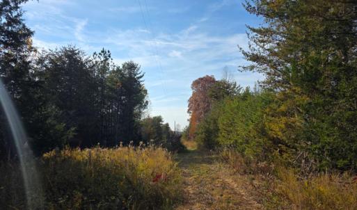 Photo #2 of Wildway Road, Appomattox, VA 37.5 acres