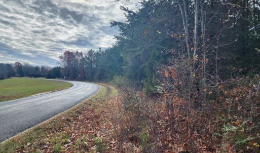 Photo #1 of Wildway Road, Appomattox, VA 37.5 acres