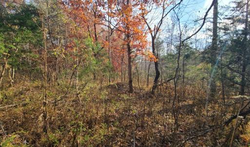 Photo #3 of Pittsville Road, Gretna, VA 1.6 acres