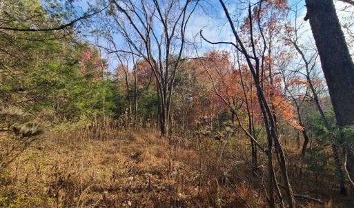 Photo #4 of Pittsville Road, Gretna, VA 1.6 acres