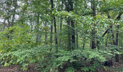 Photo #2 of Oregon Trail, Bedford, VA 20.4 acres