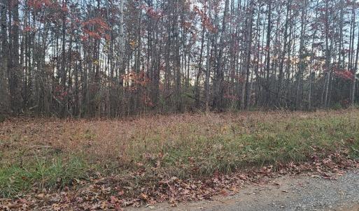 Photo #2 of Ashwell Ridge Drive, Huddleston, VA 7.2 acres