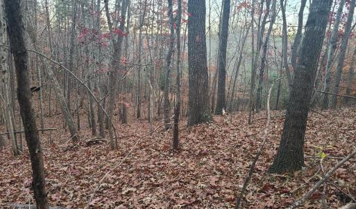 Photo #3 of Ashwell Ridge Drive, Huddleston, VA 7.2 acres
