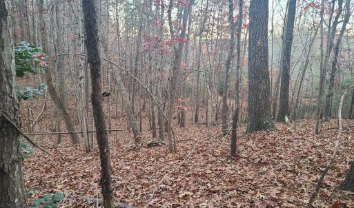 Photo #4 of Ashwell Ridge Drive, Huddleston, VA 7.2 acres