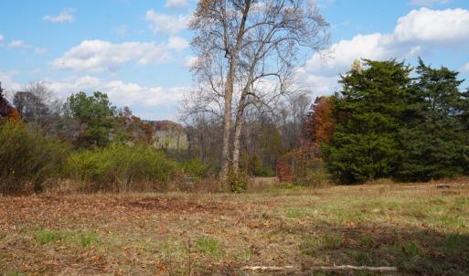 Photo #5 of 570 Old Well Road, Phenix, VA 34.6 acres